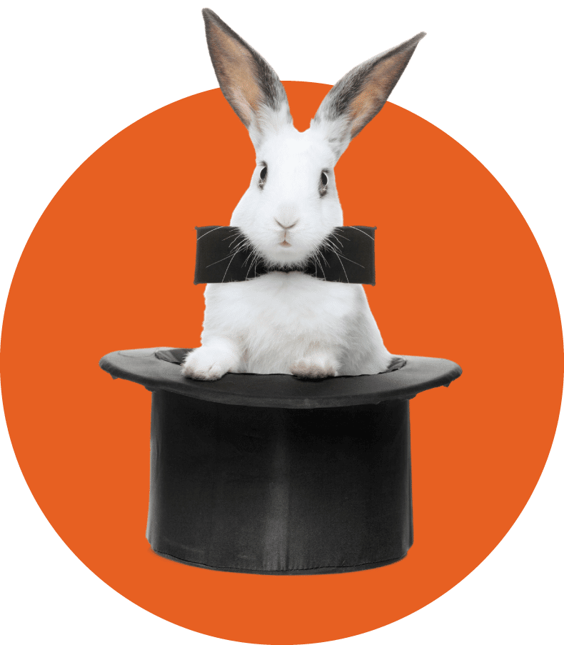 Top hat with bunny coming out