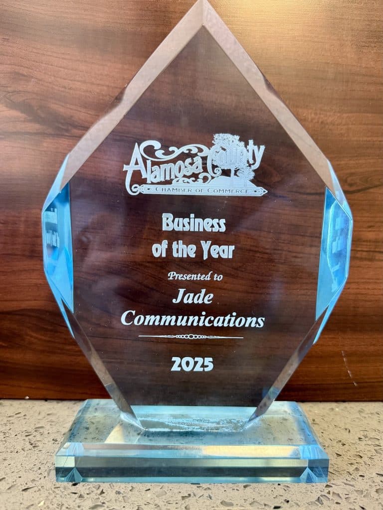 This is an image of the business of the year award